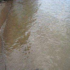 Nice Sandy wade in